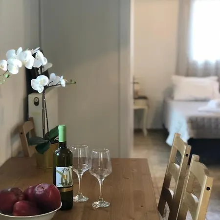 Appartement αgrilitsa House *