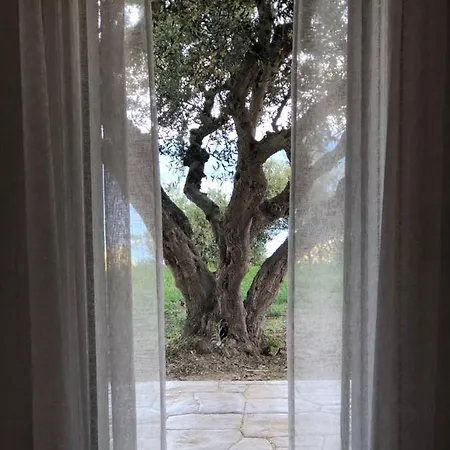 αgrilitsa House