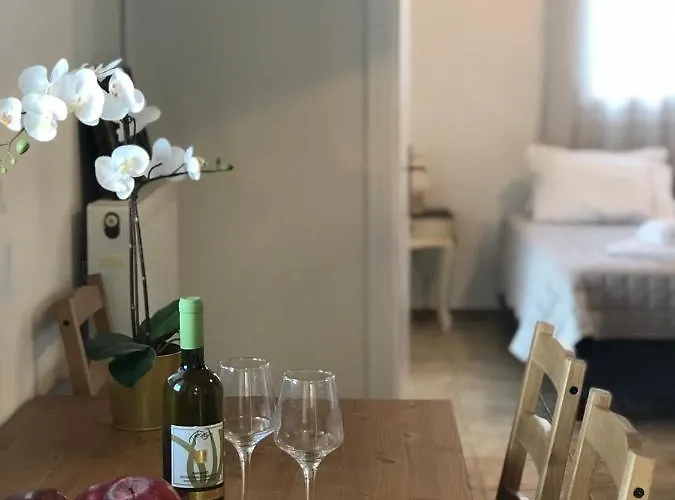 아파트 αgrilitsa House *